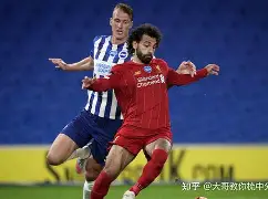 本菲卡对阵多特蒙德